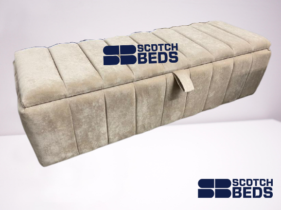 WhatsApp_Image_2021-08-06_at_12.58.20_AM-removebg-preview (2)